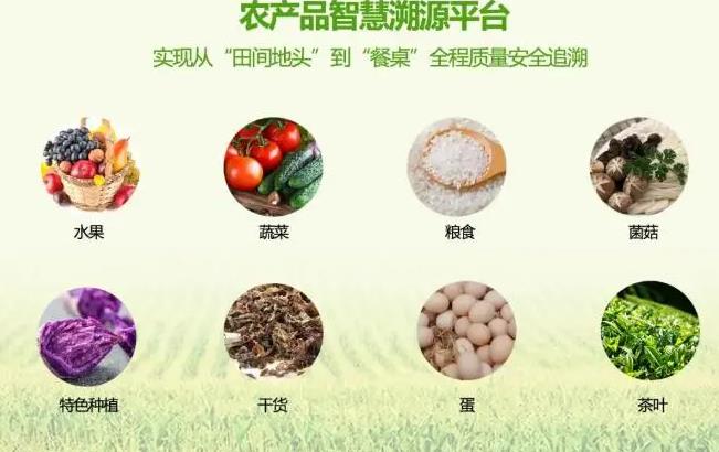 撕拉白酒防伪帽生产商，全国防伪溯源销售