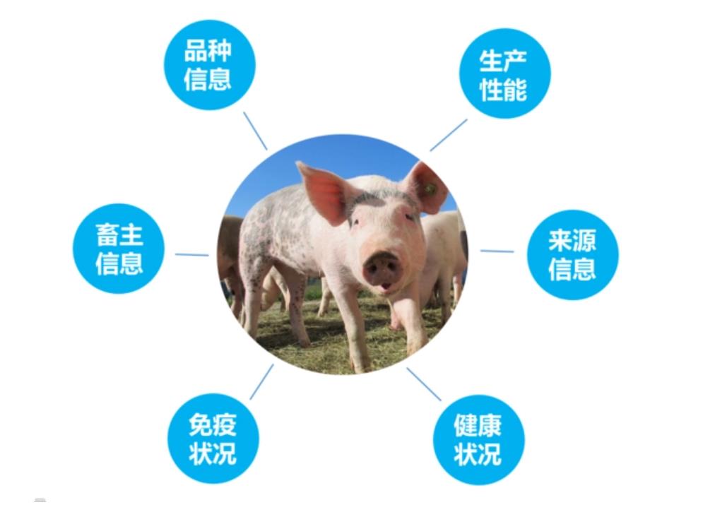 银川撕拉白酒防伪帽生产商，溯源有效期是指什么