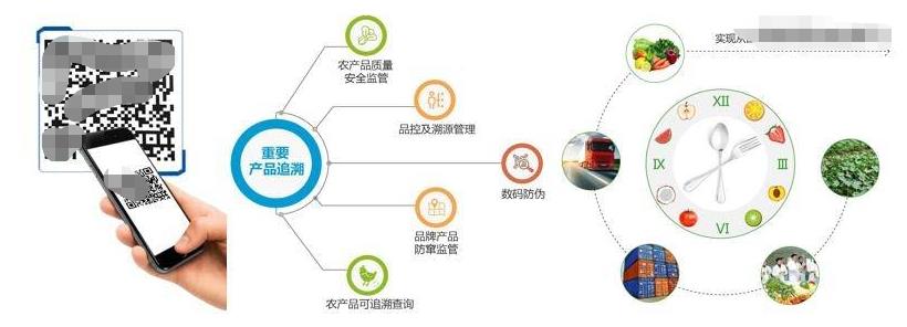 一物一码和防伪溯源系统，五大连池食品溯源系统