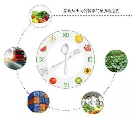 广东省动物溯源信息系统，家纺产品防伪溯源系统软件