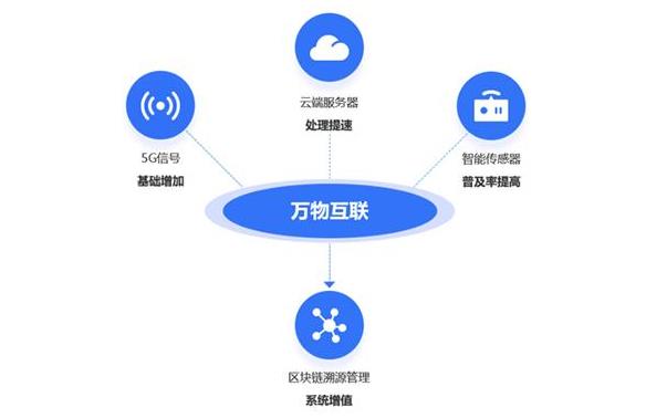 山东溯源防伪系统开发费用，六安国产防伪溯源系统情况