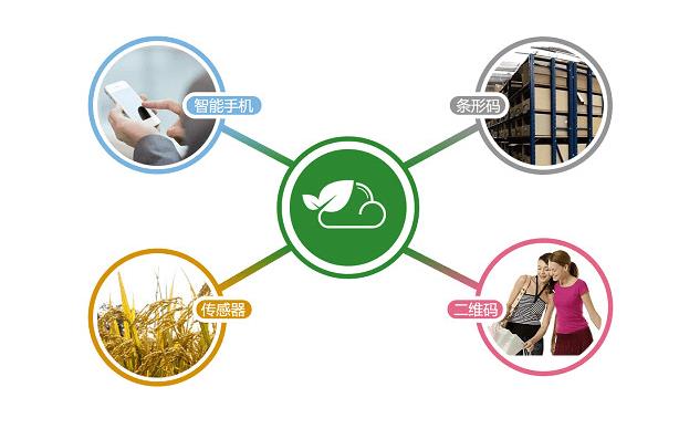 深圳溯源防伪系统开发费用，魏县农副产品溯源系统