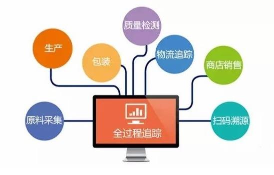 合肥防伪溯源系统技术指导，中国安全健康追踪溯源系统