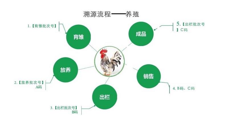 金华防伪溯源系统平台查询，进口水果溯源系统下载